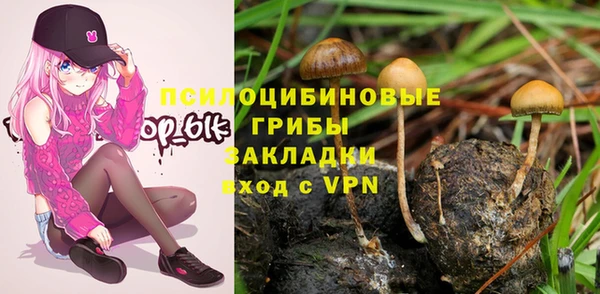 спайс Рославль