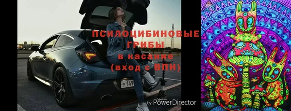 спайс Рославль