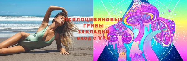 спайс Рославль