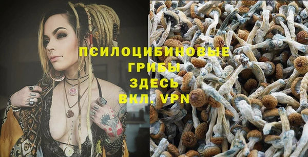 трава Россошь