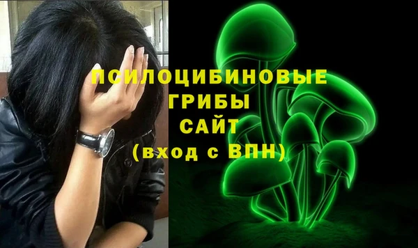 спайс Рославль